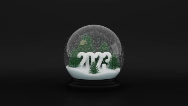 Glass Snow Ball 2023 Pine Trees Falling Snow Dark Backdrop — Stockvideo
