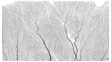 Büyüme düzeni. Üretici dallanma yapısı. Organik damar dokusu ağı