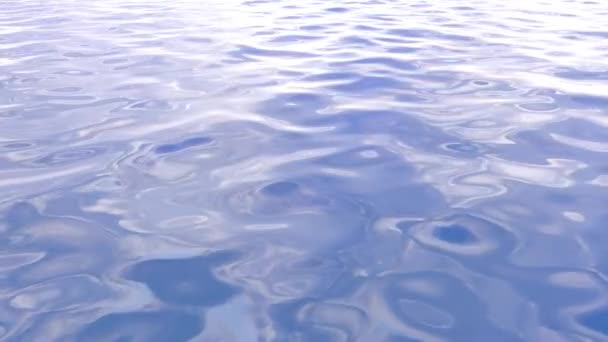 Água Calma Superfície Ondulada Animação Movimento Das Ondas Superfície Mar — Vídeo de Stock