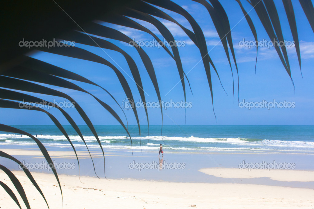 View from the beach to the sea through the palm leaf
