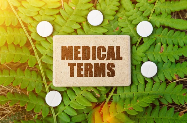 Medicine concept. On a green leaf of the plant are pills and a sign with the inscription - MEDICAL TERMS