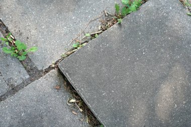 Doku. Yaya yolunda gri kaldırım levhaları ve çimenler.