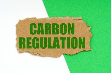 Çevresel konsept. Beyaz-yeşil arka planda üzerinde karbon tüzüğünün yazılı olduğu bir karton parçası yatıyor.