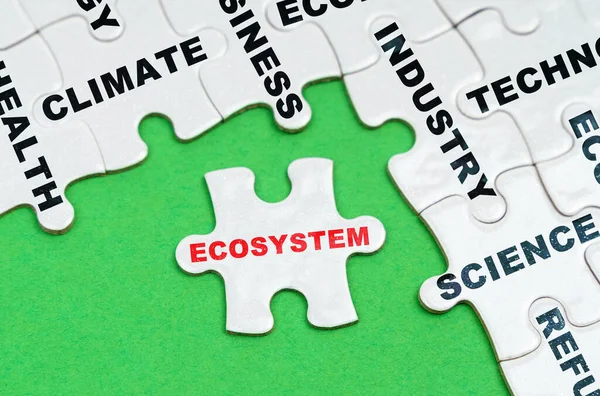 環境概念 緑の背景に テキスト付きの白いパズル 碑文付きのパズル エコシステム — ストック写真