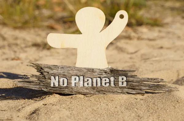 Ekologie Písku Poblíž Dřevěné Figurky Muže Kus Dřeva Nápisem Planet — Stock fotografie