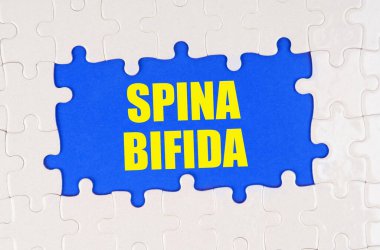 Tıp ve sağlık konsepti. Mavi arkaplandaki beyaz bulmacanın içinde Spina Bifida yazıyor.