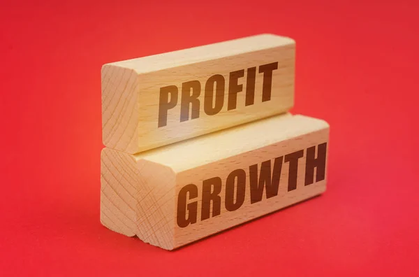ビジネスと経済の概念 赤の背景には 碑文を持つ木製のブロック 利益成長 — ストック写真