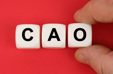 İş ve finans. Kırmızı yüzeyde, üzerinde CAO yazan beyaz küpler.