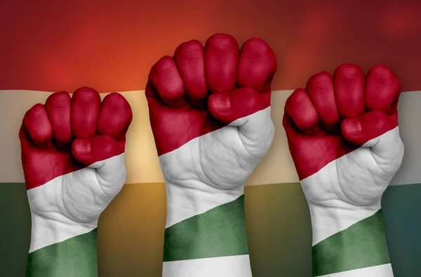 Flag Hungary Drawn Clenched Fist Background Concept Protest Power Strength — Stock Fotó