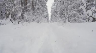 A man moves through a snowy forest. First-person view.