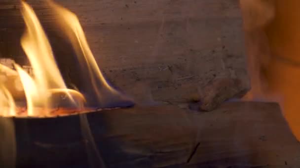 Firewood burns with a bright flame in the fireplace. — Vídeo de Stock