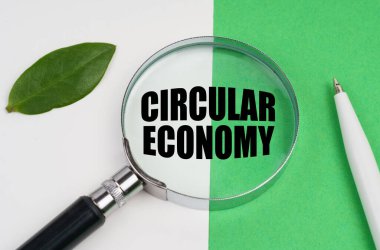 Ekolojik kavram. Beyaz-yeşil arka planda bir kalem, bir bitki yaprağı ve içinde yuvarlak ekonomi yazan bir büyüteç bulunur.