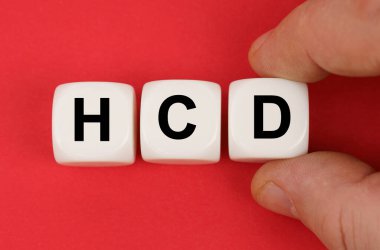 İş ve finans. Kırmızı yüzeyde HCD yazılı beyaz küpler var.