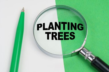 Ekolojik kavram. Beyaz-yeşil arka planda bir kalem ve bir büyüteç bulunur, içinde yazı vardır - ağaç dikme