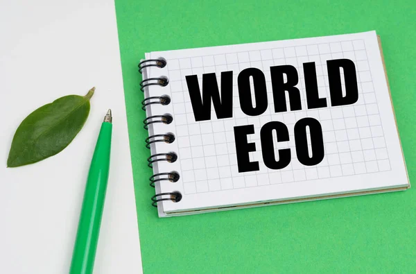 Ecologisch Concept Een Wit Groene Achtergrond Ligt Een Pen Een — Stockfoto