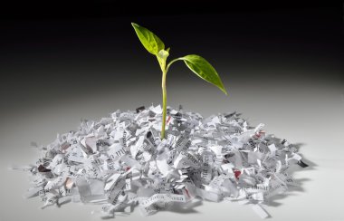 rendelenmiş kağıt büyüyen bitki