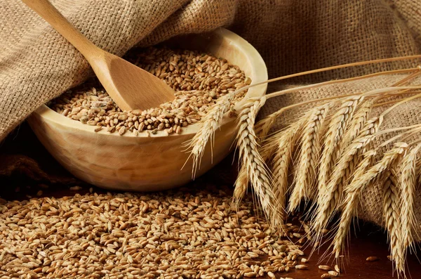 Grains and ears of wheat — Stock Photo, Image