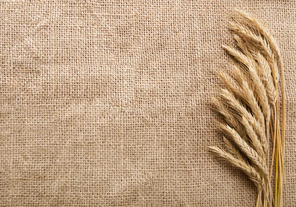 Trigo Orelhas sobre Burlap fundo — Fotografia de Stock