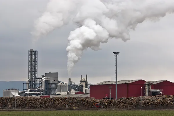 Pollution des usines de transformation du bois — Photo