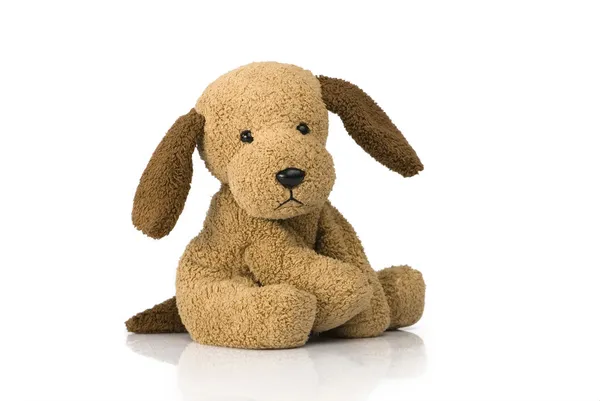 sevimli köpek oyuncak