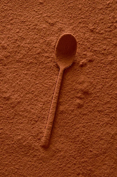 Κακάο κουτάλι — Φωτογραφία Αρχείου