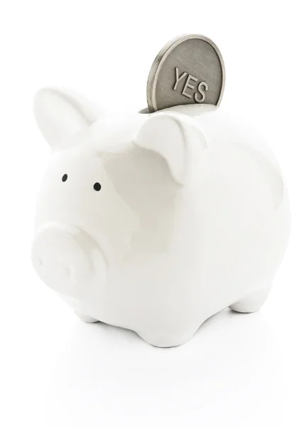 Ready for savings — Stock Photo, Image