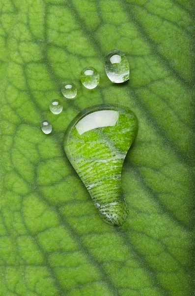 Koolstof voetafdrukken op blad — Stockfoto