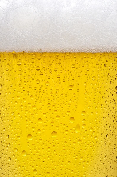 Beer texture — Stock Photo, Image