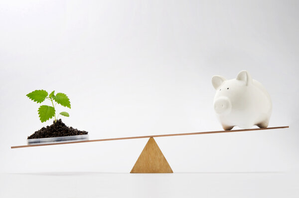 Устойчивое развитие