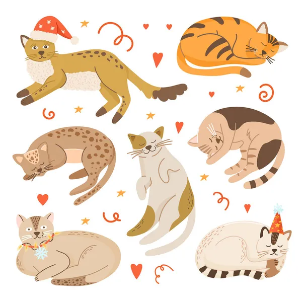 Colección Gatos Dibujos Animados Navideños Preciosas Ilustraciones Animales Vectoriales Para — Vector de stock