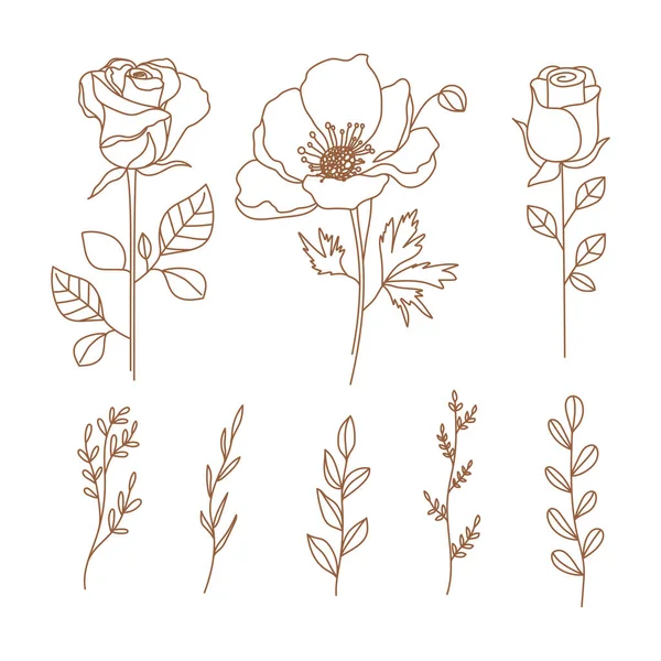 Набор Нежных Цветов Ветки Модном Линейном Стиле Минимальная Ботаническая Иллюстрация — стоковый вектор