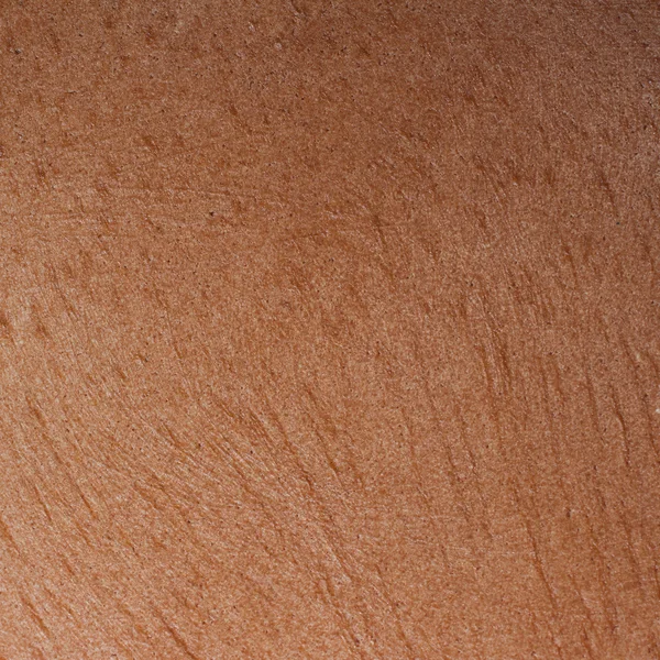 Tekstury drewniane hevea — Zdjęcie stockowe