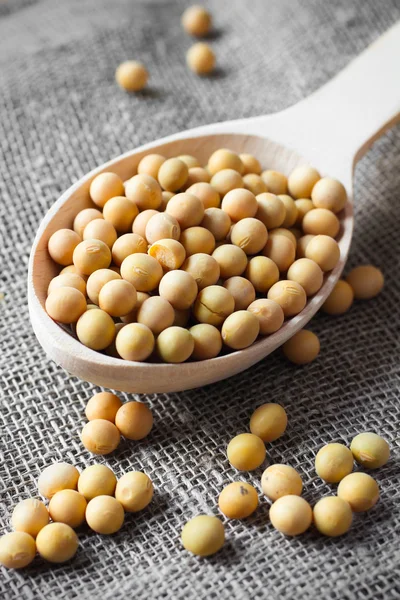 Soya beans in wooden spoon — Stock Photo, Image