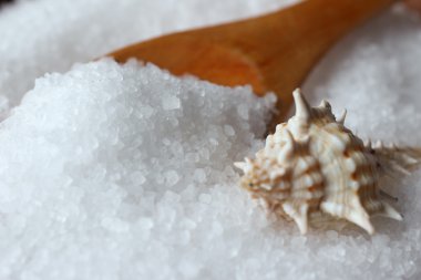 Sea salt with seashell clipart
