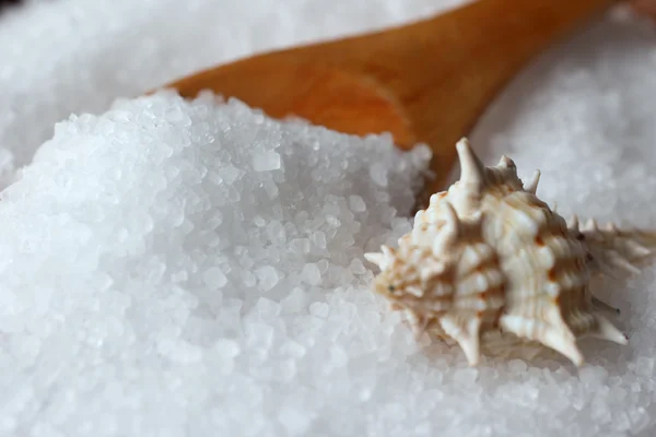 Sea salt with seashell — Stock Photo, Image