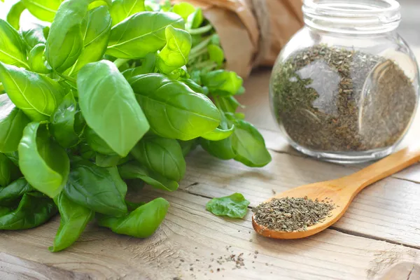 Green basil — Stock Photo, Image