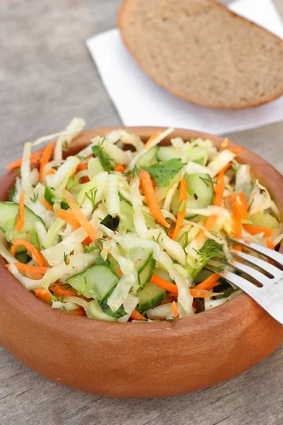 Fresh raw cabbage salad — Stock Photo, Image