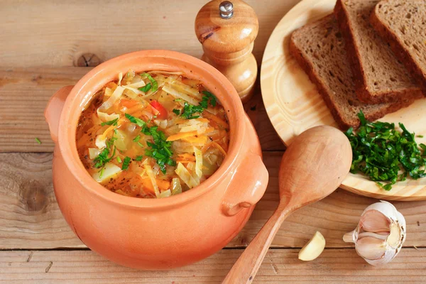 Traditional Russian vegetarian cabbage soup - schi — Stock Photo, Image