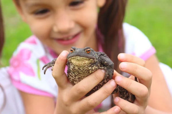 Little girl holding common toad in her hands. Love nature concept