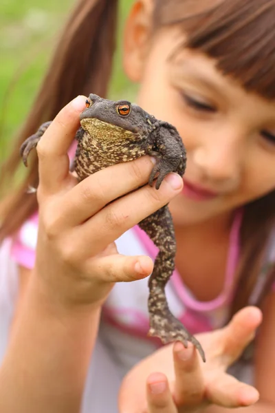 小女孩在她手中持有共同的蟾蜍。爱自然观 — 图库照片