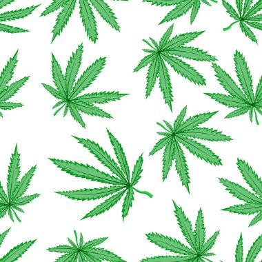 Bu marihuana yaprağı desenli bir vektör, kusursuz bir tasarımı var, arka plan kullanımı için mükemmel, tekstil için de.