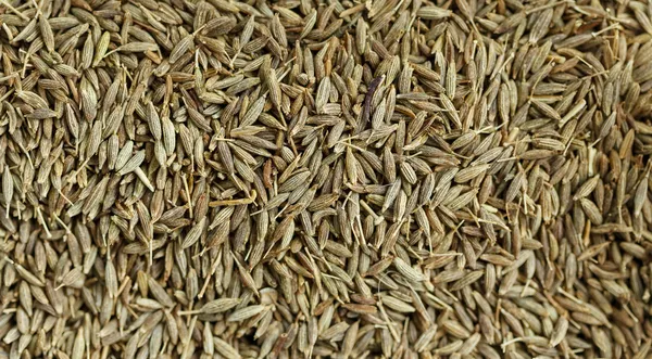 Cumin seeds background — Stock Photo, Image