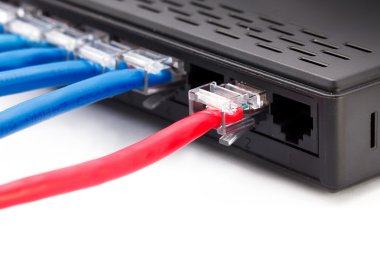 LAN ağ anahtarı takılı ethernet kabloları