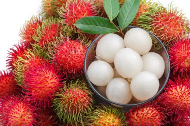 taze rambutan