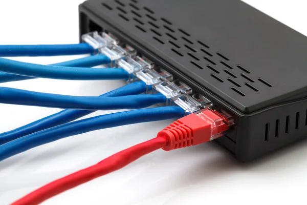 Comutator de rețea Lan cu cabluri ethernet conectate — Fotografie, imagine de stoc
