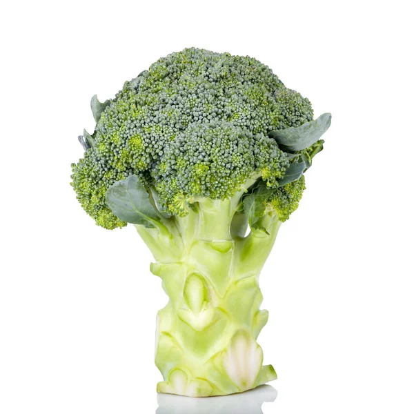 Broccoli isolated on white background — Stock Photo, Image