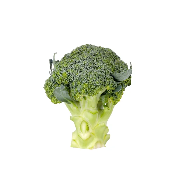 Broccoli isolati su fondo bianco — Foto Stock