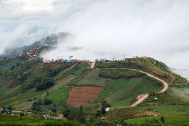 Beautiful mountain scenery in Phutabberk Phetchabun, Thailand clipart