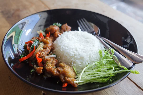 Stekt kyckling rör krispiga basilika, thaimat — Stockfoto
