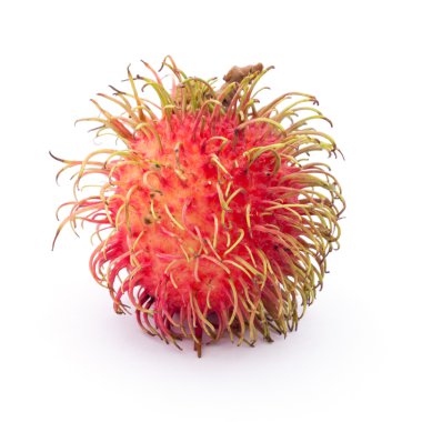 taze rambutan